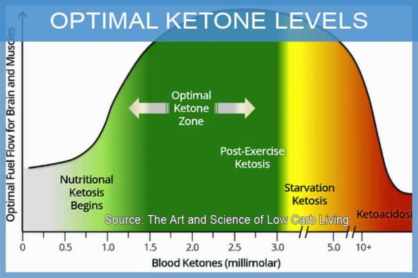 Ketone Levels for Ketosis