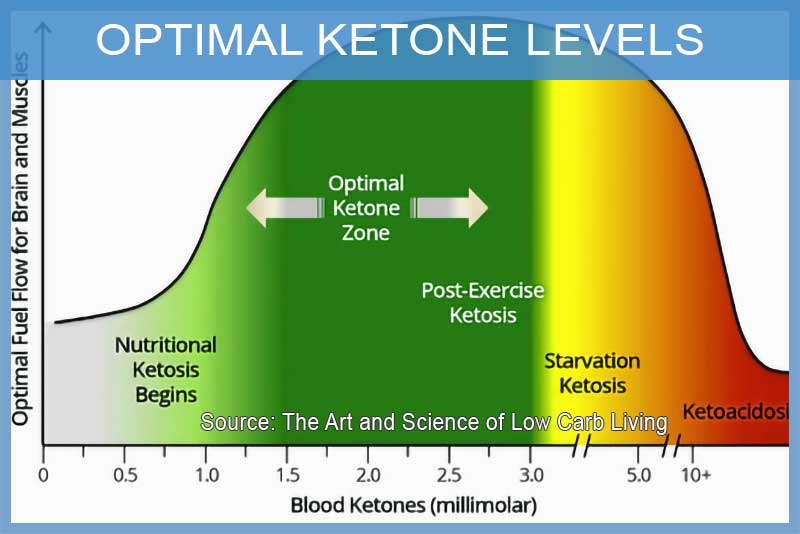 Blood Ketone Levels Chart A Visual Reference Of Charts Chart Master