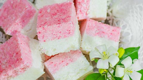 Coconut Ice ⋆ Candy ⋆  - 600 of the best