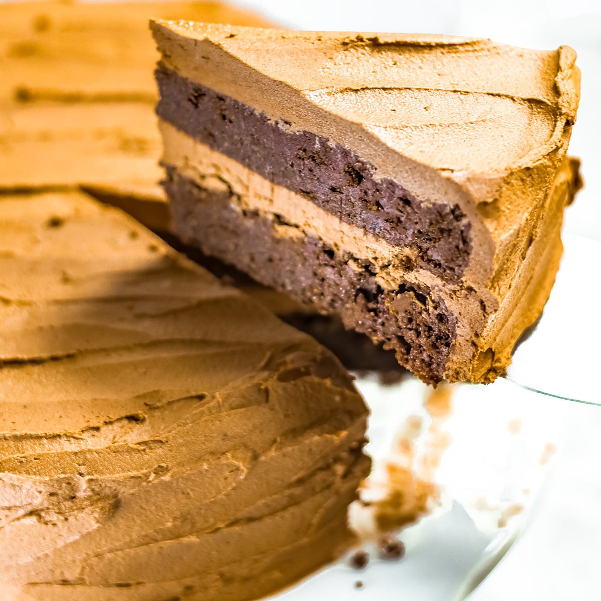 Dairy-free Chocolate Cake - Super Easy, Moist, Fudgy - Texanerin Baking
